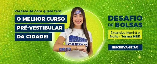 Desafio de Bolsas - Novembro 2025