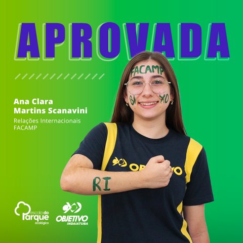 Ana Clara Martins Scanavini