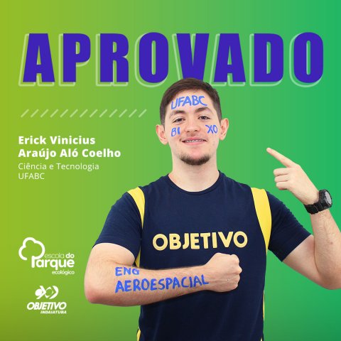 Erick Vinicius Araújo Aló Coelho