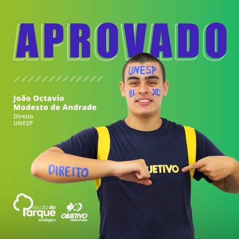 João Octavio Modesto de Andrade