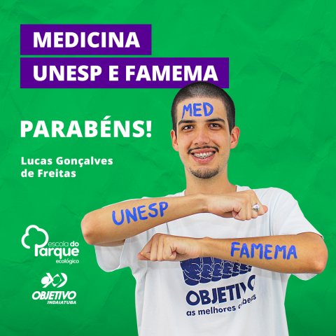 Lucas Gonçalves de Freitas