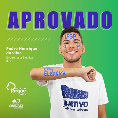 Pedro Henrique da Silva