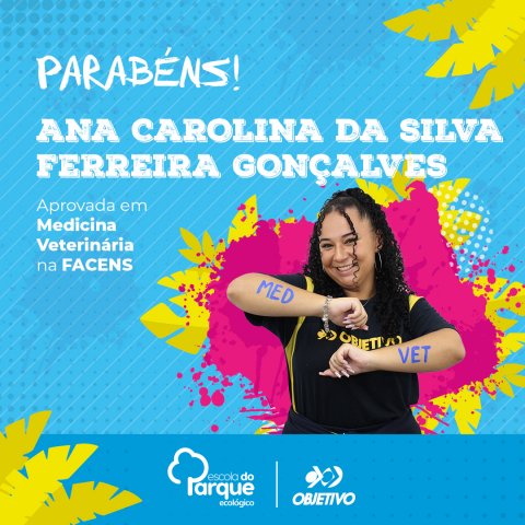 Ana Carolina da Silva Ferreira Gonçalves