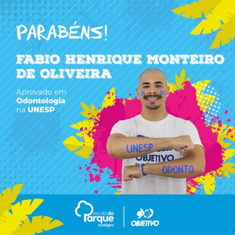 Fabio Henrique Monteiro de Oliveira
