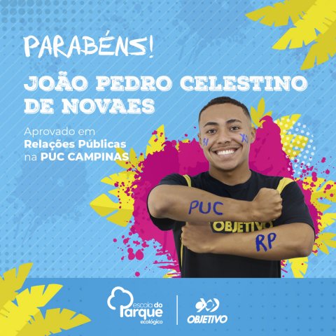 João Pedro Celestino de Novaes