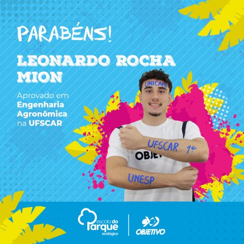 Leonardo Rocha Mion