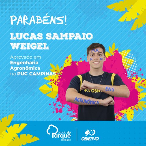 Lucas Sampaio Weigel