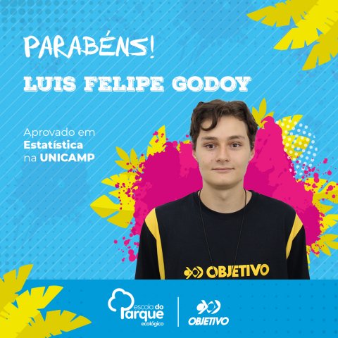 Luis Felipe Godoy
