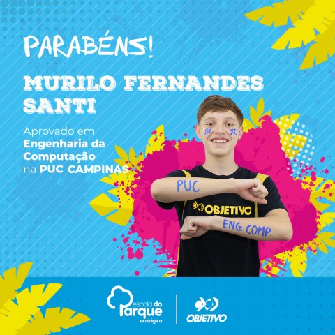 Murilo Fernandes Santi