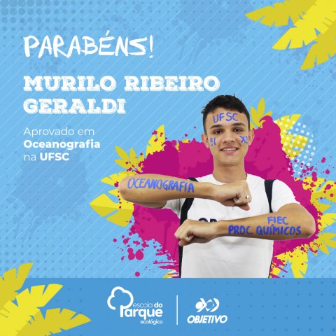 Murilo Ribeiro Geraldi