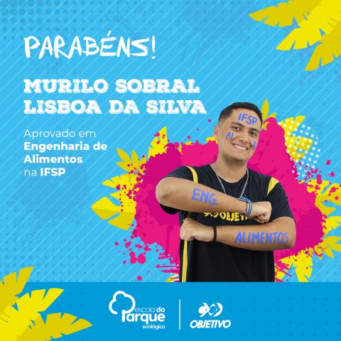 Murilo Sobral Lisboa da Silva
