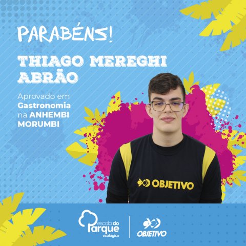 Thiago Mereghi Abrão