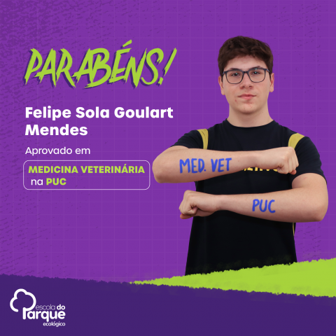 Felipe Sola Goulart Mendes 