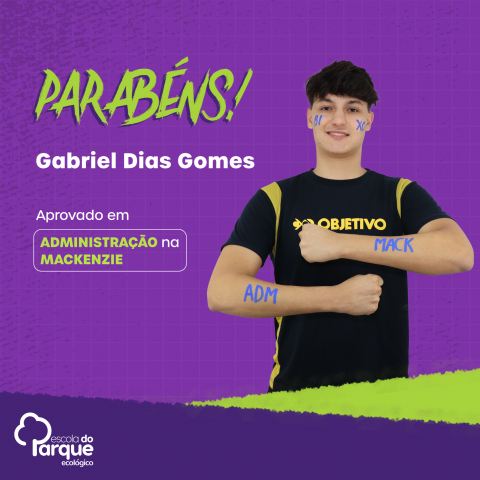 Gabriel Dias Gomes 