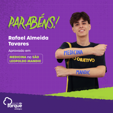 Rafael Almeida Tavares 