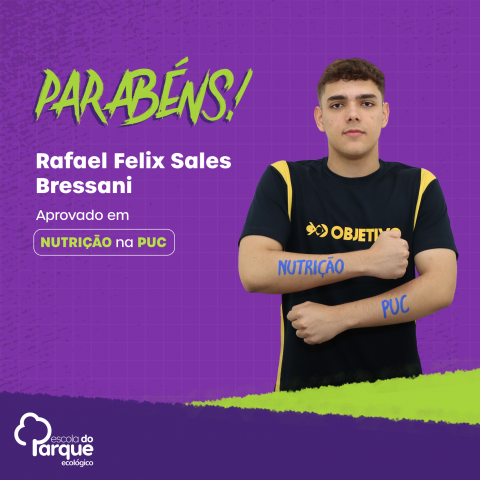 Rafael Felix Sales Bressani 