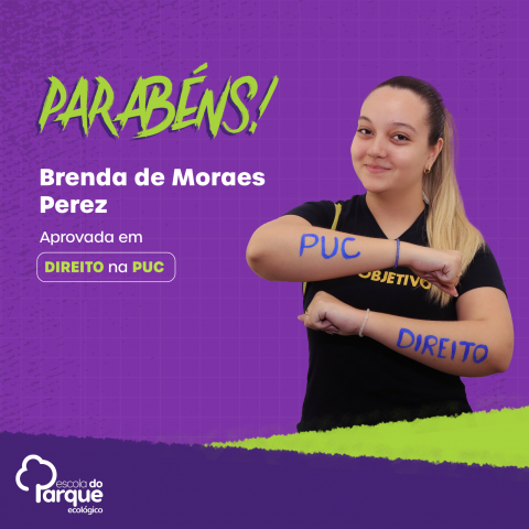 Brenda de Moraes Perez 