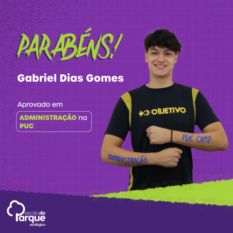 Gabriel Dias Gomes 