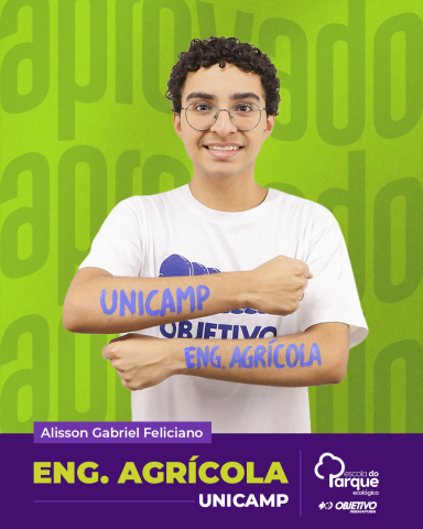 Alisson Gabriel Feliciano