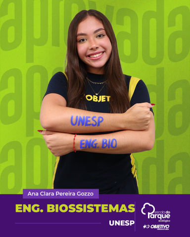 Ana Clara Pereira Gozzo