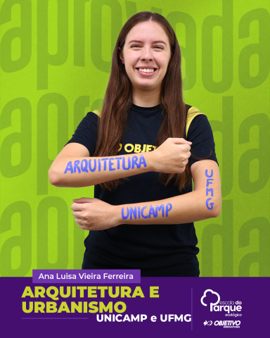 Ana Luisa Vieira Ferreira