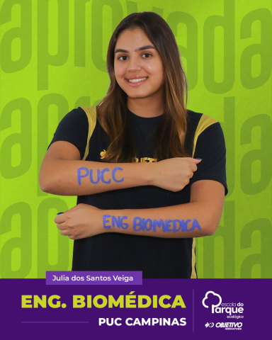 Julia dos Santos Veiga 