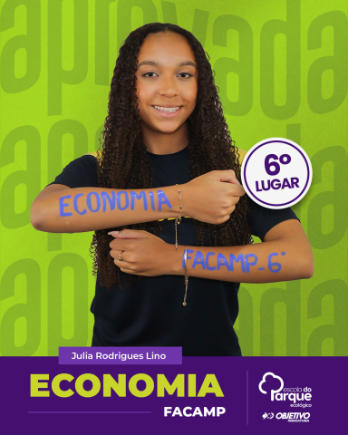 Julia Rodrigues Lino 