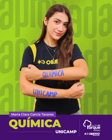 Maria Clara Garcia Tavares