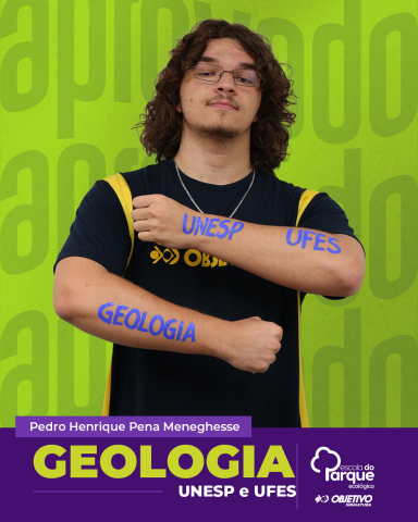 Pedro Henrique Pena Meneghesse