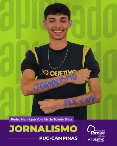 Pedro Henrique Von Ah de Toledo Silva