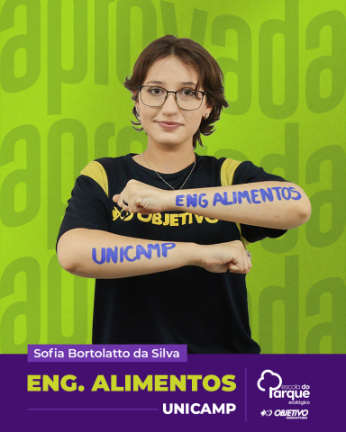 Sofia Bortolatto da Silva