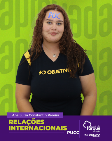 Ana Luiza Constantin Pereira