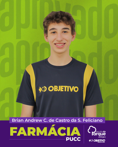 Brian Andrew Correa de Castro da Silva Feliciano