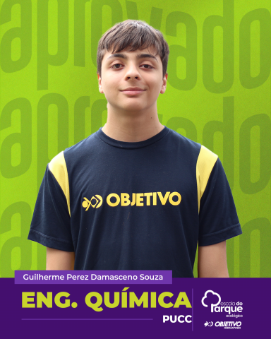 Guilherme Perez Damasceno Souza