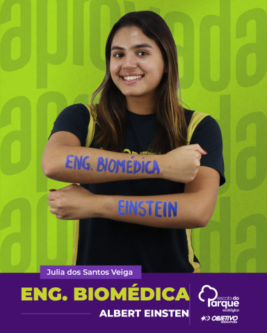 Julia dos Santos Veiga