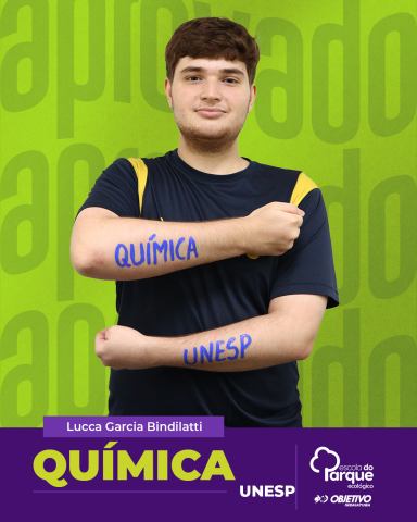 Lucca Garcia Bindilatti 