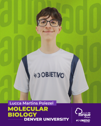 Lucca Martins Polezel 