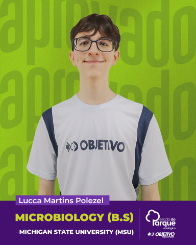 Lucca Martins Polezel 