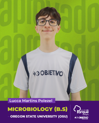 Lucca Martins Polezel 