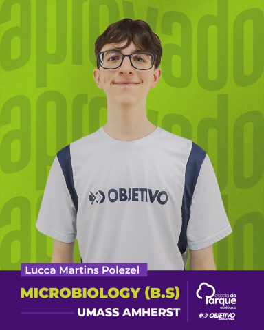 Lucca Martins Polezel 